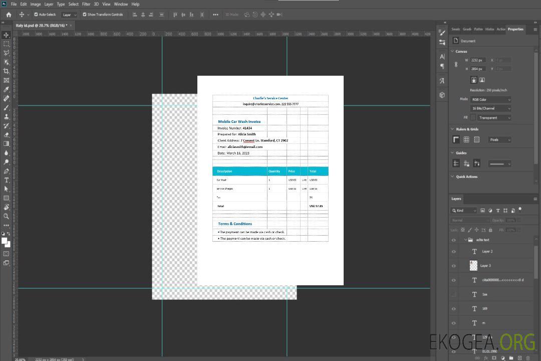 Modèle de facture de lavage de voiture mobile template